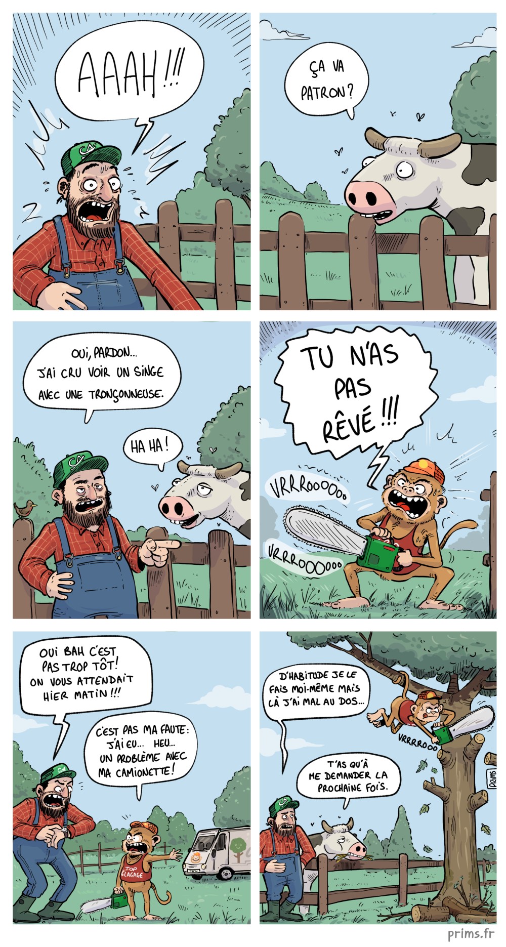 Dessin, BD : Top Elagage